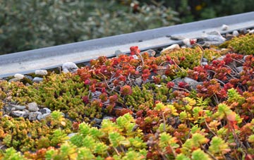 the cost of Little Welnetham green roof installation