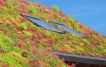 Little Welnetham living roof systems