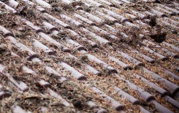 Little Welnetham roof cleaning companies