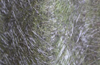 Little Welnetham fibreglass roof work