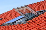 Little Welnetham roof window